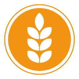 Gluten